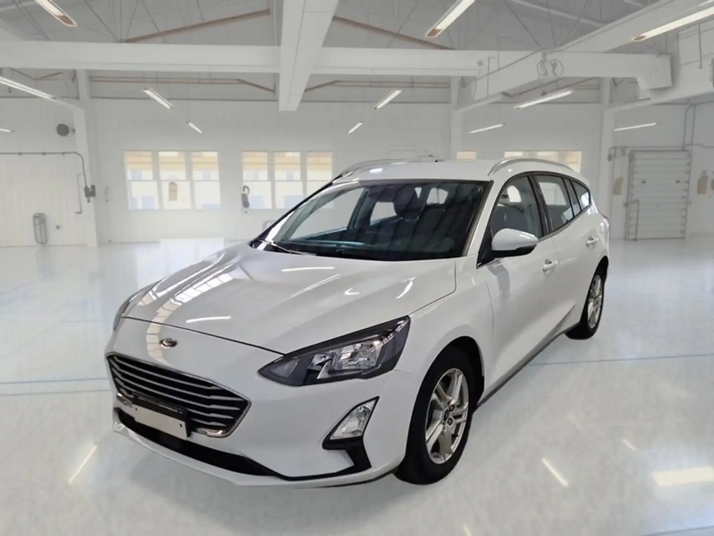 Ford Focus WAGON 1.5 Ecoblue 120cv Business Co-Pilot Auto - 1