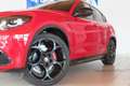 Alfa Romeo Stelvio Competizione Q4 280PS Rot - thumbnail 5