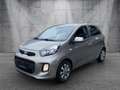 Kia Picanto Klimaauto/Sitzheizung/Scheckheft Gris - thumbnail 1