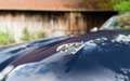 Jaguar XJS 4.0 Coupe - Toller Allgemeinzustand! Azul - thumbnail 15