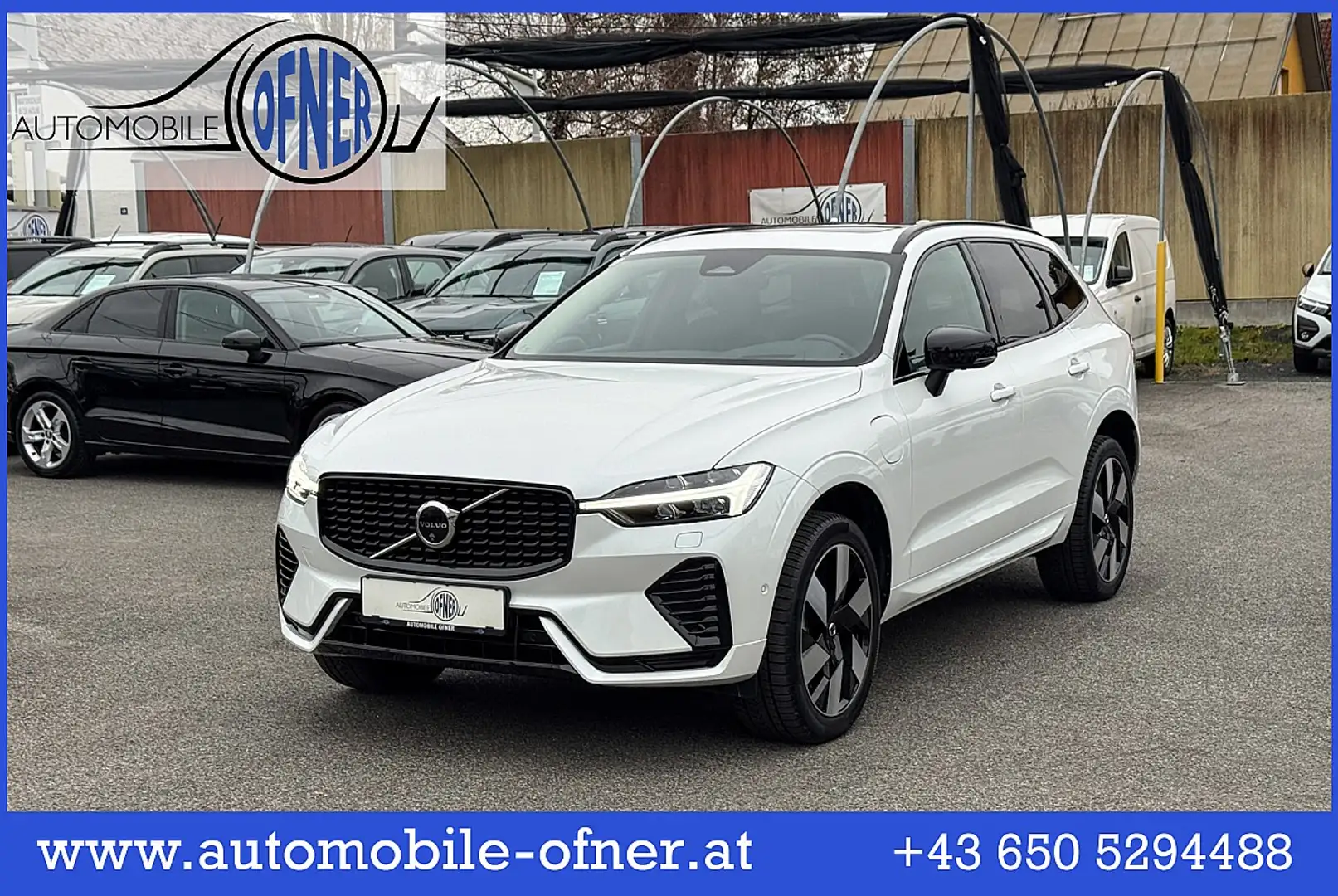 Volvo XC60 T6 AWD PHEV Ultra Dark Aut. AHK HeadUp Luftfahr... Weiß - 1