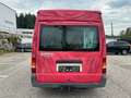 Ford Transit Camper Jungle Weiß - thumbnail 12