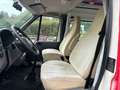 Ford Transit Camper Jungle Weiß - thumbnail 9