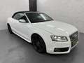 Audi S5 Quattro+Leder+B&O+Xenon Plus+LED+Nav+Keyless Weiß - thumbnail 6