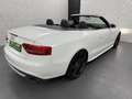 Audi S5 Quattro+Leder+B&O+Xenon Plus+LED+Nav+Keyless Weiß - thumbnail 8
