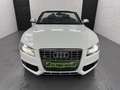 Audi S5 Quattro+Leder+B&O+Xenon Plus+LED+Nav+Keyless Weiß - thumbnail 3