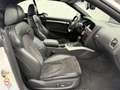 Audi S5 Quattro+Leder+B&O+Xenon Plus+LED+Nav+Keyless Weiß - thumbnail 19