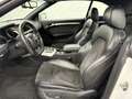 Audi S5 Quattro+Leder+B&O+Xenon Plus+LED+Nav+Keyless Weiß - thumbnail 14
