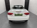 Audi S5 Quattro+Leder+B&O+Xenon Plus+LED+Nav+Keyless Weiß - thumbnail 10