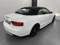 Audi S5 Quattro+Leder+B&O+Xenon Plus+LED+Nav+Keyless Weiß - thumbnail 9