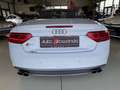 Audi S5 A5 3.0 TFSI Cabrio Quattro -Top Ausstattung Weiß - thumbnail 13