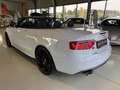 Audi S5 A5 3.0 TFSI Cabrio Quattro -Top Ausstattung Weiß - thumbnail 11