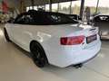 Audi S5 A5 3.0 TFSI Cabrio Quattro -Top Ausstattung Weiß - thumbnail 10