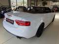 Audi S5 A5 3.0 TFSI Cabrio Quattro -Top Ausstattung Weiß - thumbnail 9