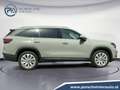 Skoda Kodiaq 4x4 Selection TDI DSG Grau - thumbnail 6