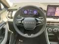 Skoda Kodiaq 4x4 Selection TDI DSG Grau - thumbnail 15