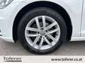 Volkswagen Golf Variant Comfortline TDI SCR DSG Weiß - thumbnail 19