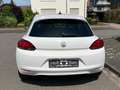 Volkswagen Scirocco Scirocco 1.4 TSI BlueMotion Technology Match Weiß - thumbnail 6