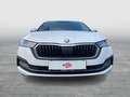 Skoda Octavia Combi 2.0 TDI Style DSG MATRIX+AHK+LEDER Weiß - thumbnail 7