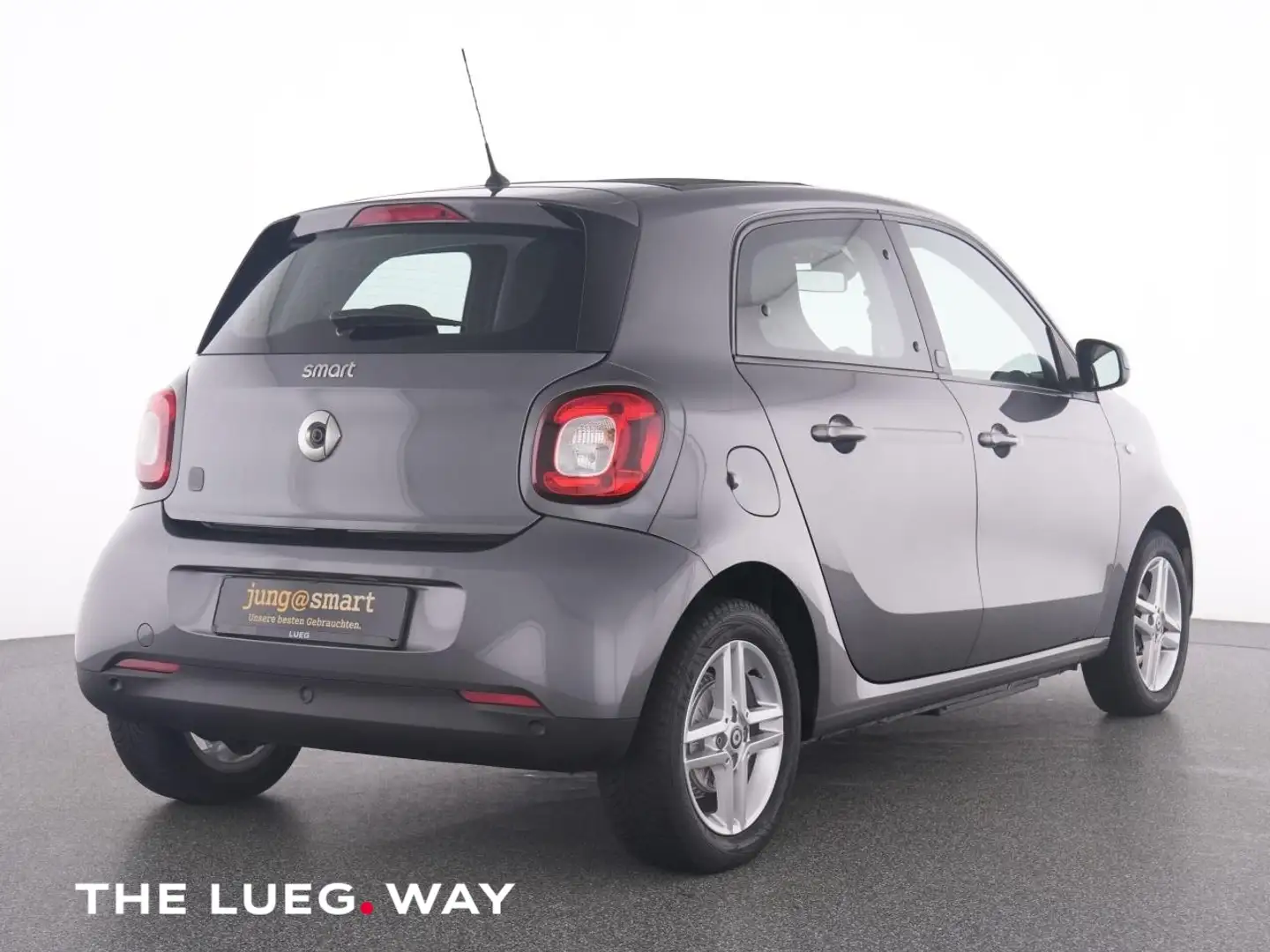 smart forFour EQ  passion 22kw Faltdach Winter+Plus-DAB Grau - 2