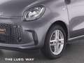 smart forFour EQ  passion 22kw Faltdach Winter+Plus-DAB Grau - thumbnail 8