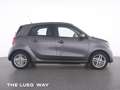 smart forFour EQ  passion 22kw Faltdach Winter+Plus-DAB Grau - thumbnail 11