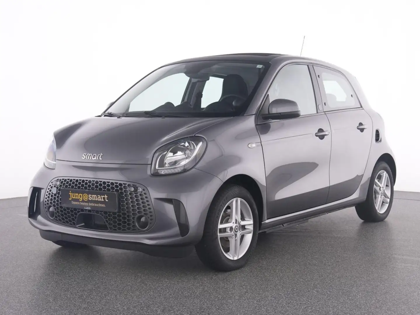 smart forFour EQ  passion 22kw Faltdach Winter+Plus-DAB Grau - 1