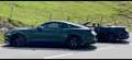Ford Mustang Mustang 5,0 Ti-VCT V8 Bullitt Grün - thumbnail 6