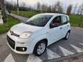 Fiat New Panda 1.2 blanco keuring voor verkoop ! Biały - thumbnail 2