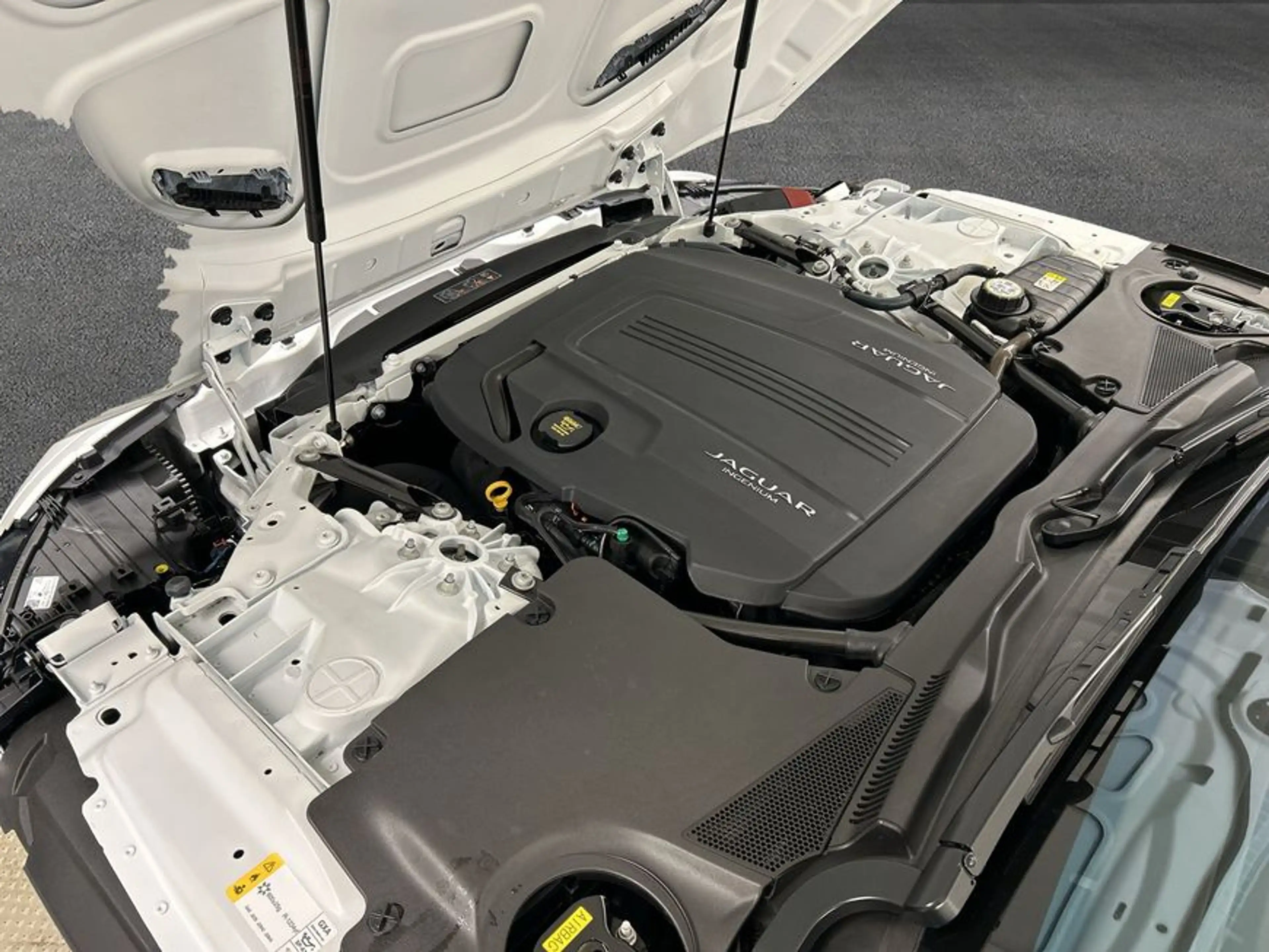 Jaguar F-Type Cabriolet P300 Aut. R-Dynamic — photo 11