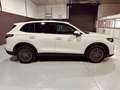Volkswagen Tiguan 1.5 eTSI Más DSG 110kW Blanco - thumbnail 3