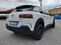 Citroen C4 Cactus C4 Cactus BlueHDi 100 SeS Shine - thumbnail 8