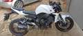 Yamaha FZ 1 Fz1n Blanco - thumbnail 1