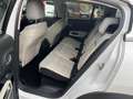 Citroen C5 Aircross C5 Aircross 1.5 bluehdi Shine s Blanc - thumbnail 14