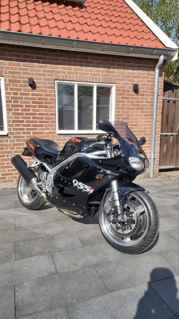 Triumph Daytona 955i T595 Zwart - 1