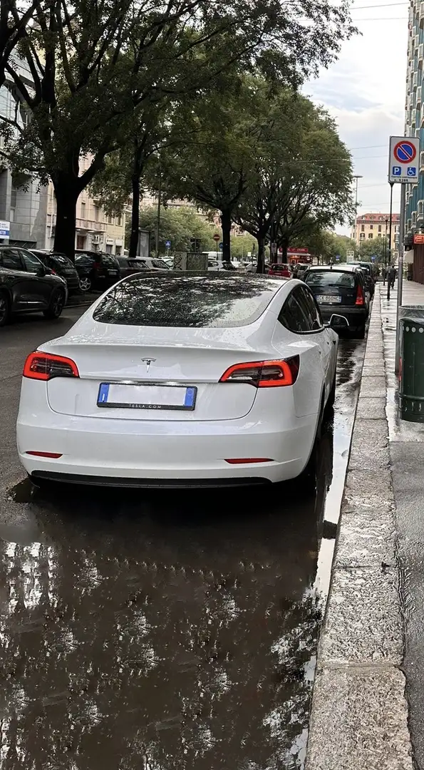 Tesla Model 3 Standard rwd Plus - 2