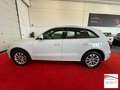 Audi Q5 2.0 tdi  S-line quattro 177cv s-tronic Wit - thumbnail 16