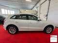 Audi Q5 2.0 tdi  S-line quattro 177cv s-tronic Wit - thumbnail 17