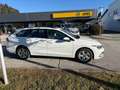Volkswagen Golf Variant 1,0 eTSI Life DSG Weiß - thumbnail 4
