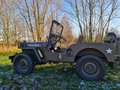 Jeep Willys M38 Willys - Overland Vert - thumbnail 18