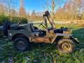 Jeep Willys M38 Willys - Overland Verde - thumbnail 10