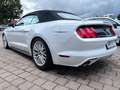 Ford Mustang Cabrio 3,8 V6  227 KW LEDER Automatik Blanc - thumbnail 5