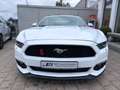 Ford Mustang Cabrio 3,8 V6  227 KW LEDER Automatik Blanc - thumbnail 2