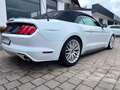 Ford Mustang Cabrio 3,8 V6  227 KW LEDER Automatik Blanc - thumbnail 4
