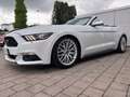 Ford Mustang Cabrio 3,8 V6  227 KW LEDER Automatik Blanc - thumbnail 1