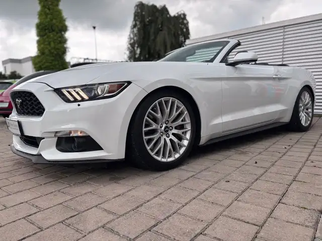 Ford Mustang Cabrio 3,8 V6  227 KW LEDER Automatik