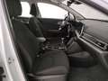 Kia Sportage 1.6 crdi mhev Business imt Bianco - thumbnail 14