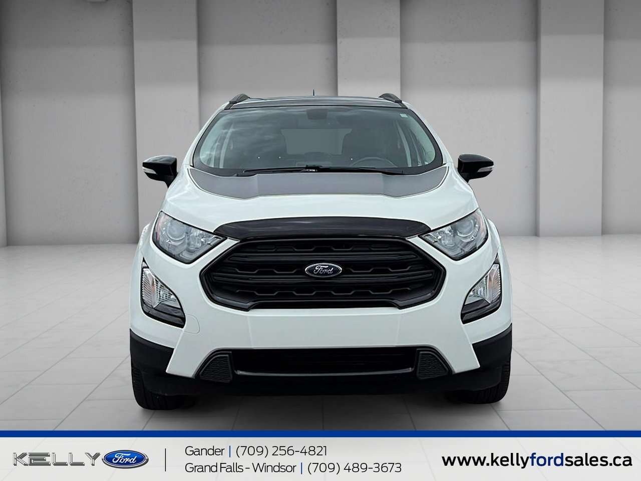 2020 Ford EcoSport AWD SES 2.0L / — снимка 1