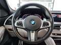BMW X6 iA LiveCockProf H/K Parkass+ PANO StH HUD Grau - thumbnail 7