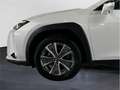 Lexus UX 300e Business - thumbnail 16
